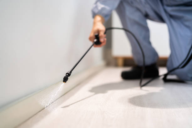 Licensed Pest Control service in Angier, NC - Nex Pest Control