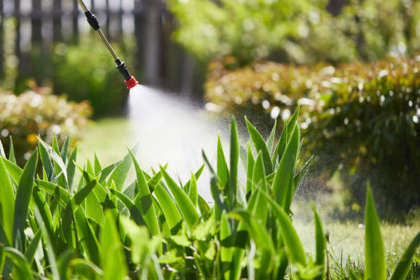 24/7 Emergency Pest Control experts in Angier, NC