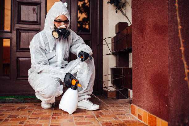 Reliable Pest Control contractor in Angier, NC by Nex Pest Control