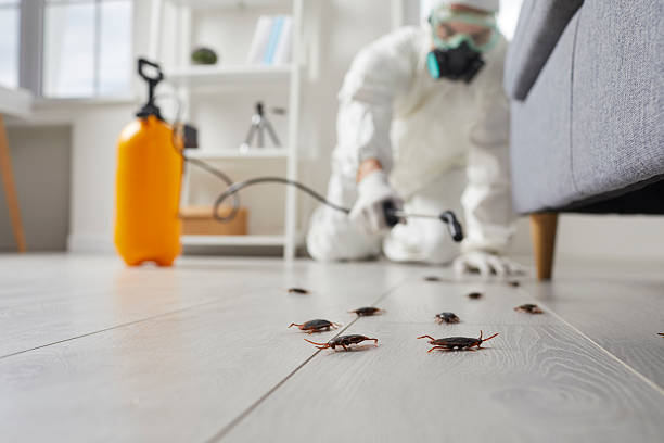Affordable Pest Control solutions in Angier, NC